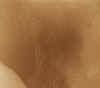 dune1.jpg (121847 bytes)