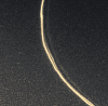 fring.gif (32007 bytes)
