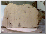 martian.gif (12284 bytes)