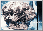 martian2.gif (8081 bytes)