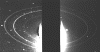 nepring(1).gif (91999 bytes)