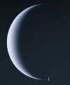neptri(1).gif (152003 bytes)