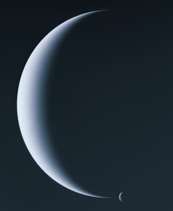 neptri_1.gif (152003 bytes)