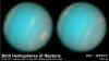 neptune.jpg (33660 bytes)