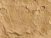 network.gif (276744 bytes)