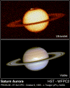 sataur.gif (133127 bytes)
