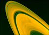 satring.gif (209521 bytes)