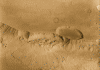 slump(1).gif (466433 bytes)
