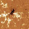 sun2.jpg (33961 bytes)