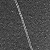 twisted.gif (256771 bytes)