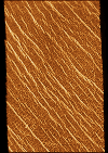 xcut.gif (574952 bytes)